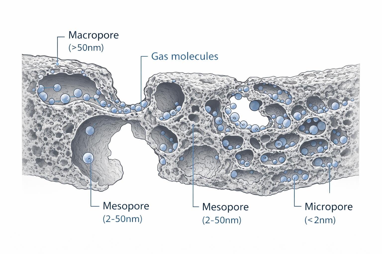 Porenstruktur von Aktivkohle – Diagramm mit Makroporen, Mesoporen und Mikroporen – das hierarchische Porensystem für die enorme innere Oberfläche zur Gasadsorption